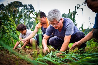 구로광명홈케어 지역활동 봉사